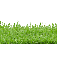 Robot Lawnmower Sticker by Kärcher