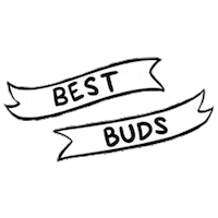 celinecanto18 friends best amigos bestfriends Sticker