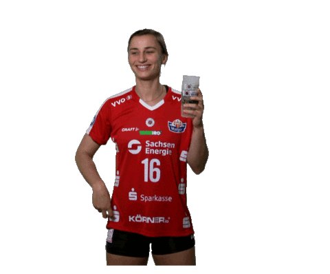 Sport Bundesliga Sticker by DSCVolley