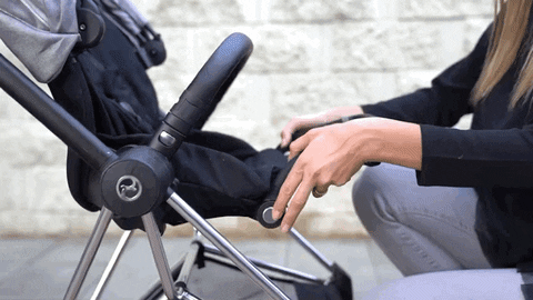 deeaibacka giphyupload stroller GIF