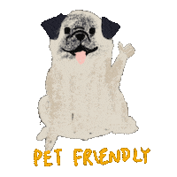 Boogie Petfriendly Sticker by Andrea Caceres