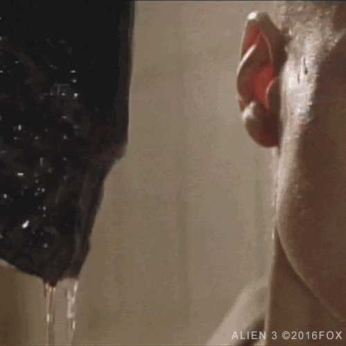 sigourney weaver xenomorph GIF by foxhorror