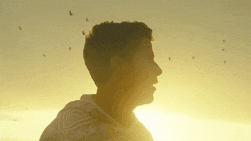 find you GIF by Nick Jonas