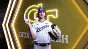 Georgia Tech Baseball GIF by Georgia Tech Yellow Jackets