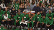 GIF by NBC Sports Boston