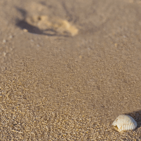 avenuewestdigital giphyupload GIF