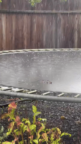 Thunderstorms Drop Hail on Northern California