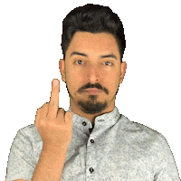Middle Finger Sticker