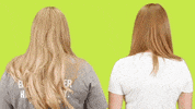 Mean Girls No GIF by StickerGiant