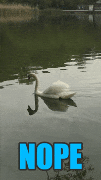 hide lalala i cant hear you GIF