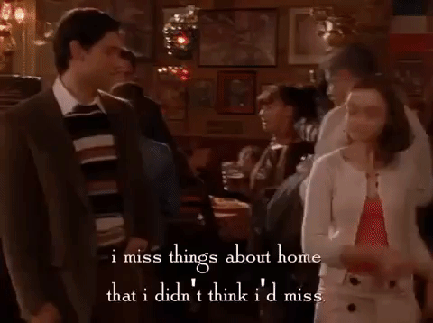 season 4 netflix GIF by Gilmore Girls 