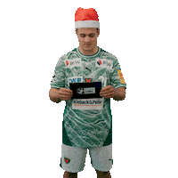 Handball Berlin Sticker by DAIKIN HBL