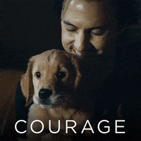 Art Of Racing Amanda GIF by 20th Century Fox