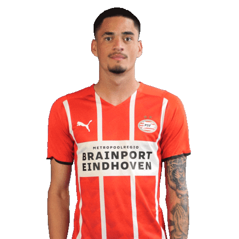 Celebrate Luis Felipe Sticker by PSV