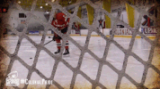 happy college sports GIF by Robert Morris University Athletics