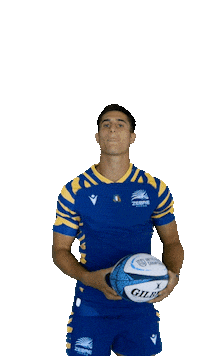 Rugby Italia Sticker by Zebre Parma