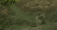 run running GIF by MASTERPIECE | PBS