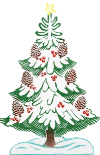 Wintergrün Sticker by BrandstaetterVerlag