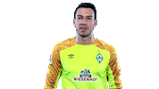 football what Sticker by SV Werder Bremen