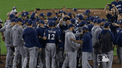 Major League Baseball Sport GIF by MLB