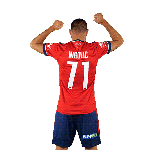molfehervarfcgif vidi szekesfehervar nikolic fehervar Sticker