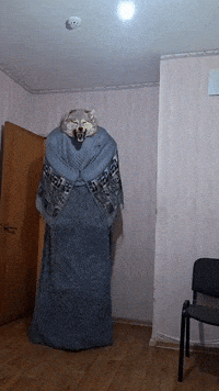 Mask Wolf GIF