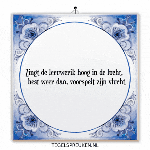 Nl Hoop GIF by Tegelspreuken.nl