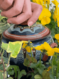 Lescopainsgourmands homemade yogurt lescopainsgourmands GIF