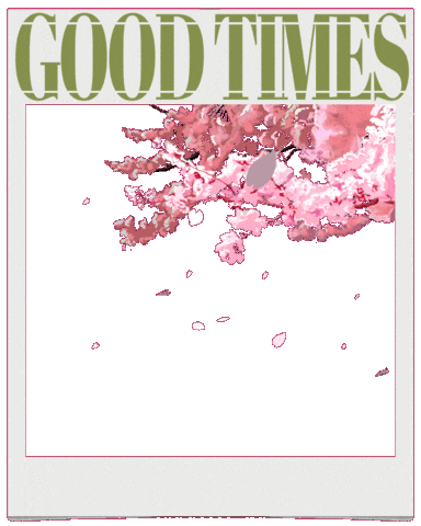 Cherry Blossom Spring Sticker by ONIUSA