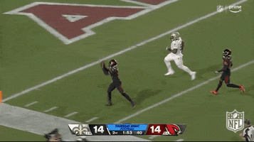 New Orleans Saints Football GIF by NFL