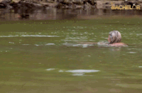honey badger love GIF by The Bachelor Australia