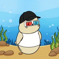 Happy Dance GIF by Sappy Seals Community