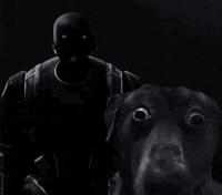 Star Wars Rogue One GIF