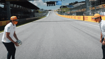 Formula 1 Sport GIF by McLaren