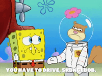 season 8 bubble troubles GIF by SpongeBob SquarePants