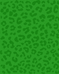 safariplay safari soft play safari play indoor play GIF