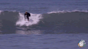 beach surf GIF by Nickelodeon