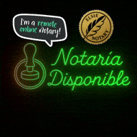 Notaria GIF by Elsie Notary