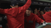 jd hug GIF by MLB