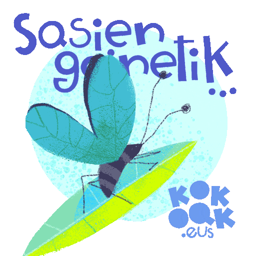 kokoakgara giphyupload butterfly mariposa euskara Sticker