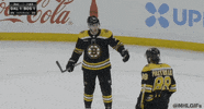 Happy Ice Hockey GIF by NHL