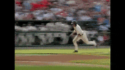 BeaverBaseball baseball ncaa oregon state GIF