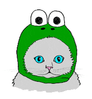 Cat Sticker
