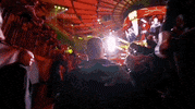 Mixed Martial Arts Sport GIF by UFC