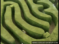 maze rigamarole GIF