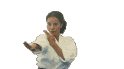 Karate Sticker by Warner Bros. Pictures