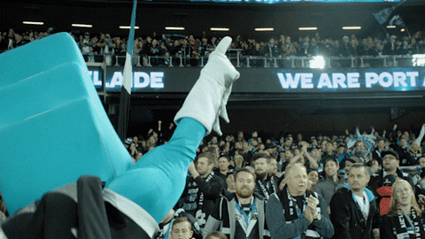 crowd pafc GIF by Port Adelaide FC