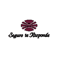 Panama Insurance Sticker by Aseguradora Ancón