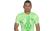 Like A Boss Deal With It Sticker by VfL Wolfsburg