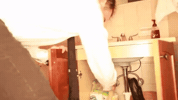 prawn GIF by Topshelf Records